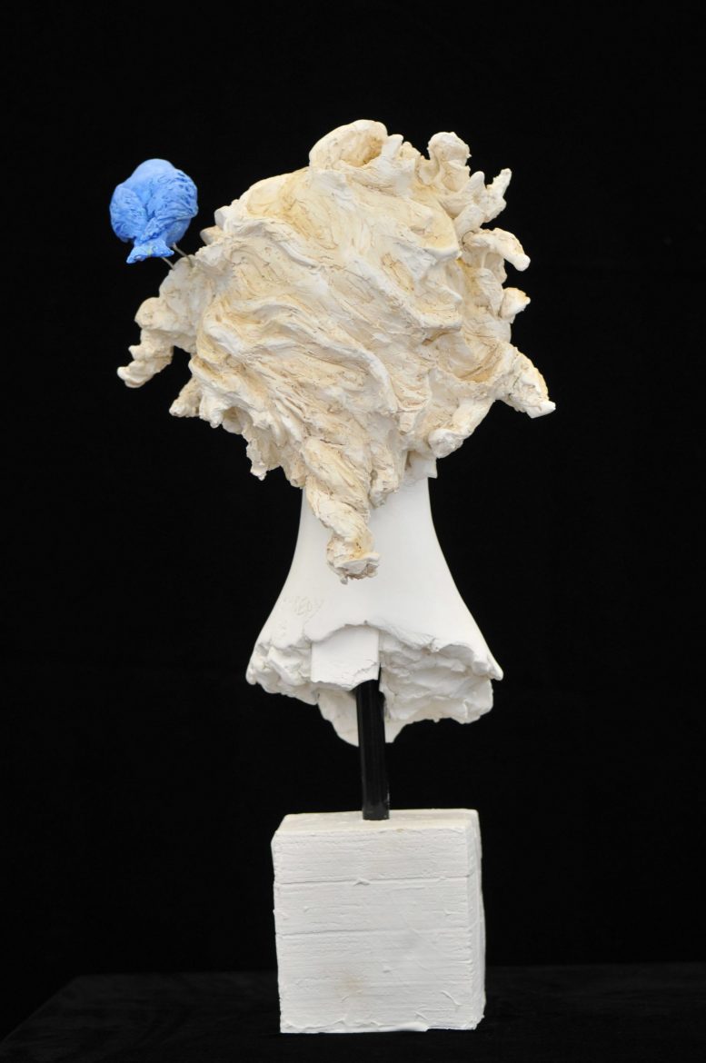 BLUEBIRD - Image 6