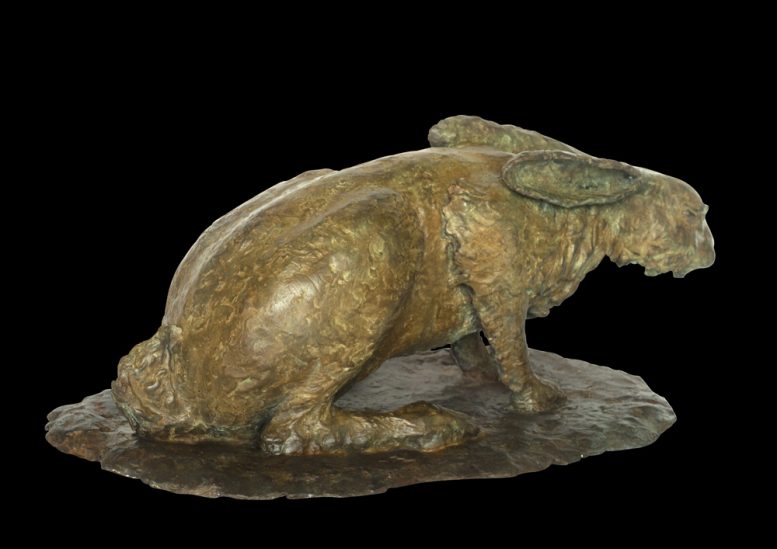 CURIOUS HARE - Image 2