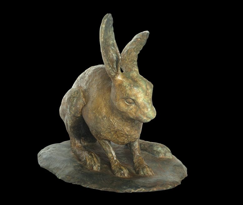 WARY HARE - Image 4