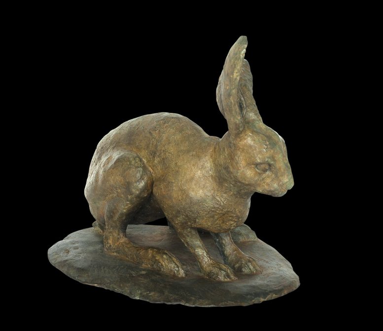 WARY HARE - Image 3