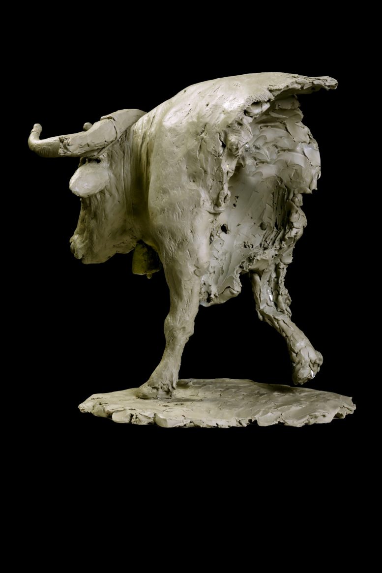 MAUD - Image 2