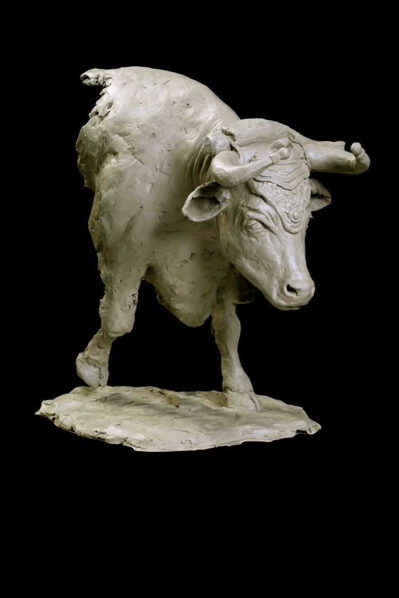 MAUD - Image 3