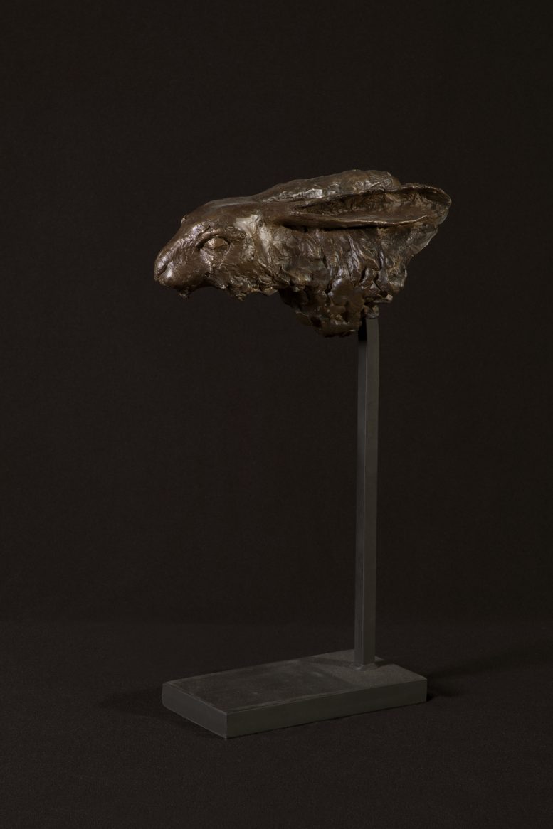 CURIOUS HARE FRAGMENT