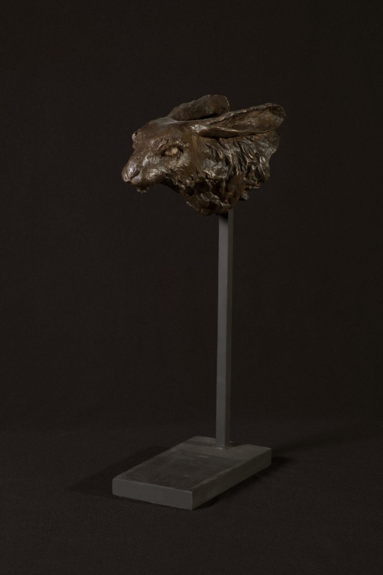 CURIOUS HARE FRAGMENT - Image 2
