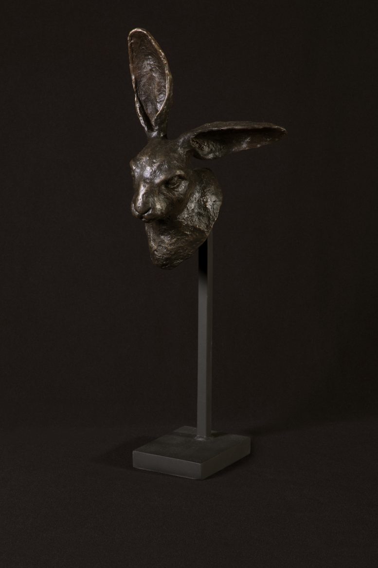 WARY HARE FRAGMENT